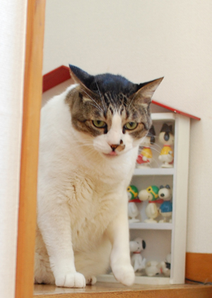 アップはこんな感じ