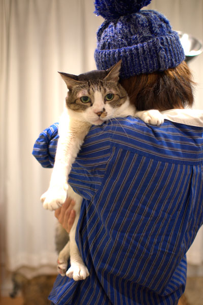 どーん。