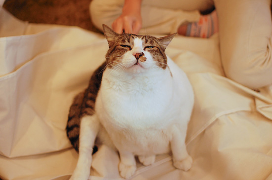 うっとり。