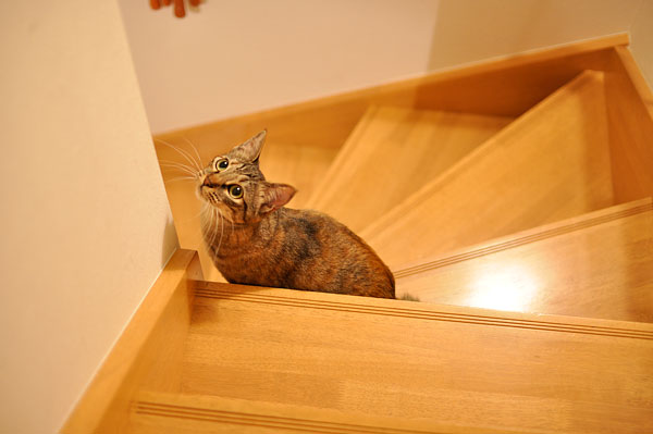 �Ż롣