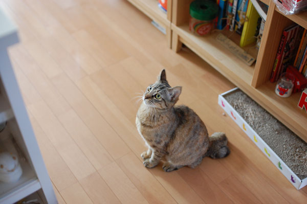 うーちゃん、どうした?