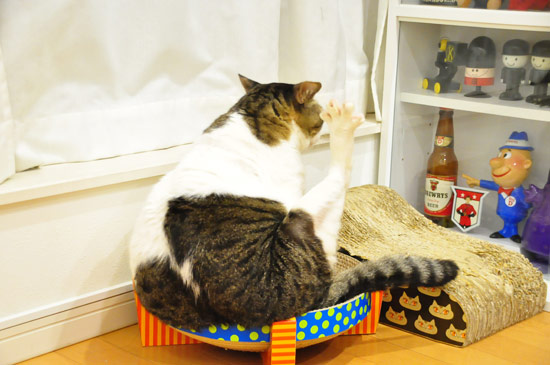 お尻のまるみにジャストフィットや!