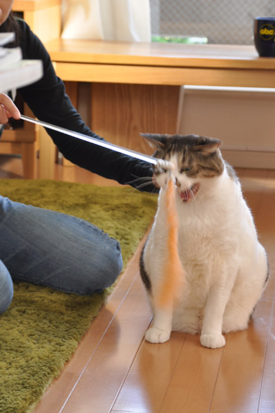 反応なしで大あくび(笑)