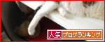 �ڿ͵�blog��󥭥󥰤ء�
