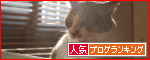 �ڿ͵�blog��󥭥󥰤ء�