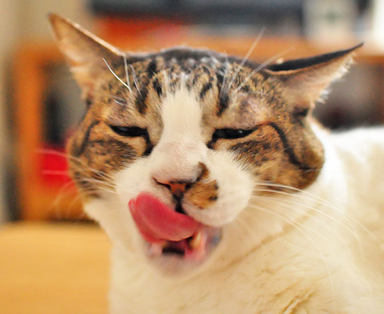 ちょい古い