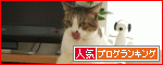 【人気blogランキングへ】応援ありがとうございます!