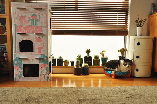 狭い部屋が更に圧迫される〜。。。