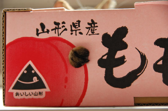 �ԥ祳�����