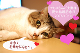 でちゅさんご夫妻さまへ