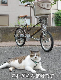 めんま号・めんチャリです