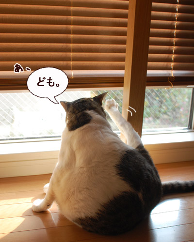 この格好、外から見られてたりして(笑)