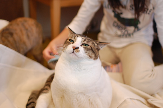 どっしり座って