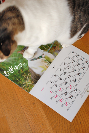 顔面ですよ