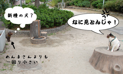 �ݤ��Τ�ʪ�����餽�äȸ��Ƥ�����󥳤���