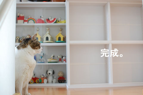 おもちゃのためなら我慢我慢。。。