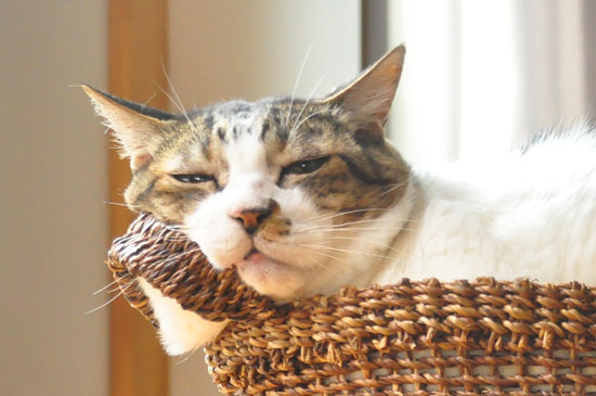 満足