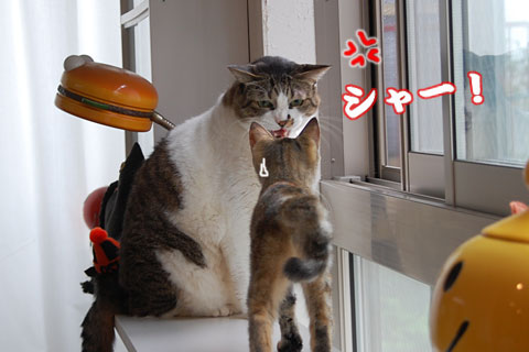 ��塪