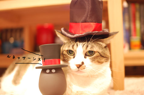˹�Ҥ⤪·��