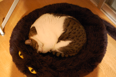 まだ仲良し(*’ー’*)