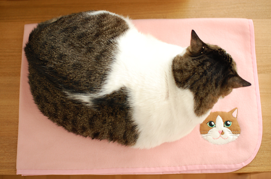 すっかりめんまさん用になってしまいました。