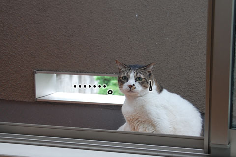 相手すんのめんどくさそうやな。。。