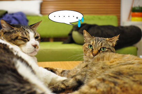 ううう。。。