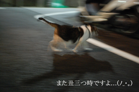 夜勤出発