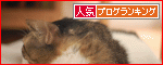 �ڿ͵�blog��󥭥󥰤ءۤ��Ĥ���礢�꤬�Ȥ��������ޤ���