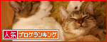 �ڿ͵�blog��󥭥󥰤ء�