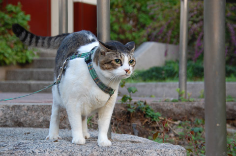 ��뵤�ߤʤ�����ޤ���