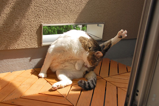 ���ä��ˤ����꿻�ꡣ