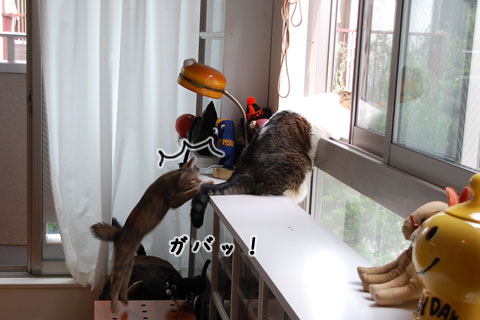 �ߥˡ��ס���