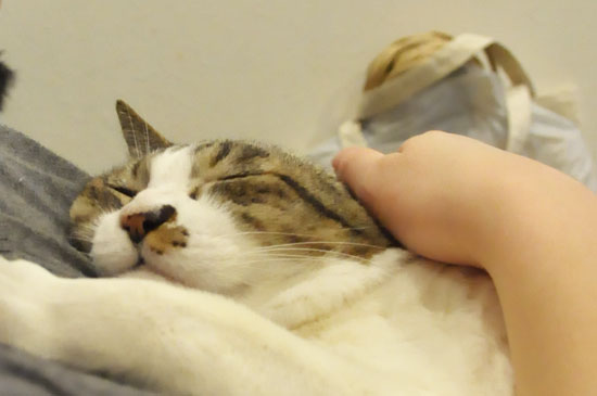 大きな赤ちゃん(*^m^)