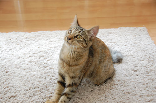 っと目で追って。。。