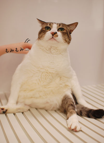 ��ߤ�ߥޥå���������