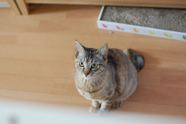あ。。。そうだよね〜。。。