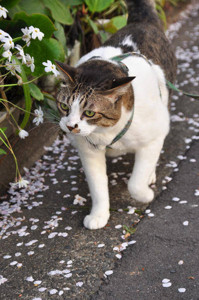 ずずずいっとな。