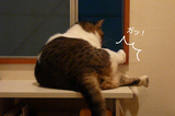 ���á�
