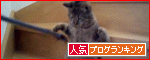 �ڿ͵�blog��󥭥󥰤ءۤ��꤬�Ȥ��������ޤ���