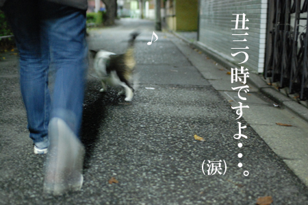 深夜のパトロール