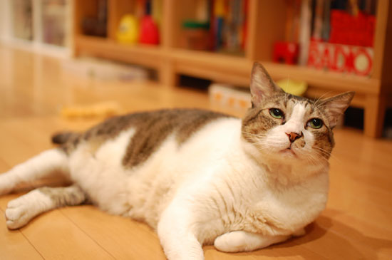 その動きが怪しかったのか、こんな顔に。。。