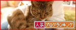 【人気blogランキングへ】