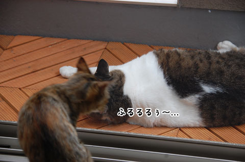 もしもし?
