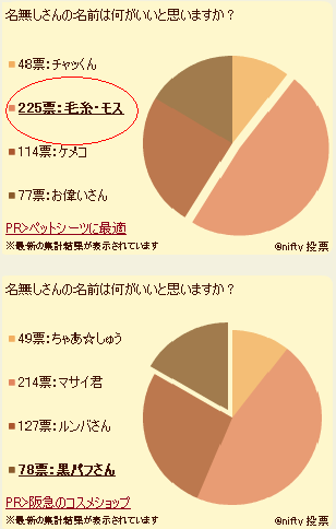 結果発表