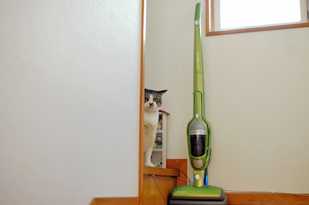 ちらっ。