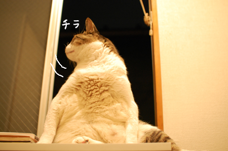 外をチラ見