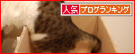 �ڿ͵�blog��󥭥󥰤ء�