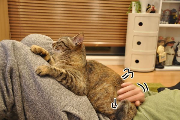 がっつり掴まってます。