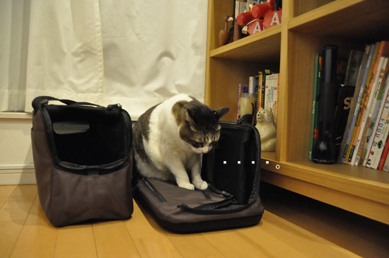 急に飛び乗ったので気付いたらこんなんなってました。